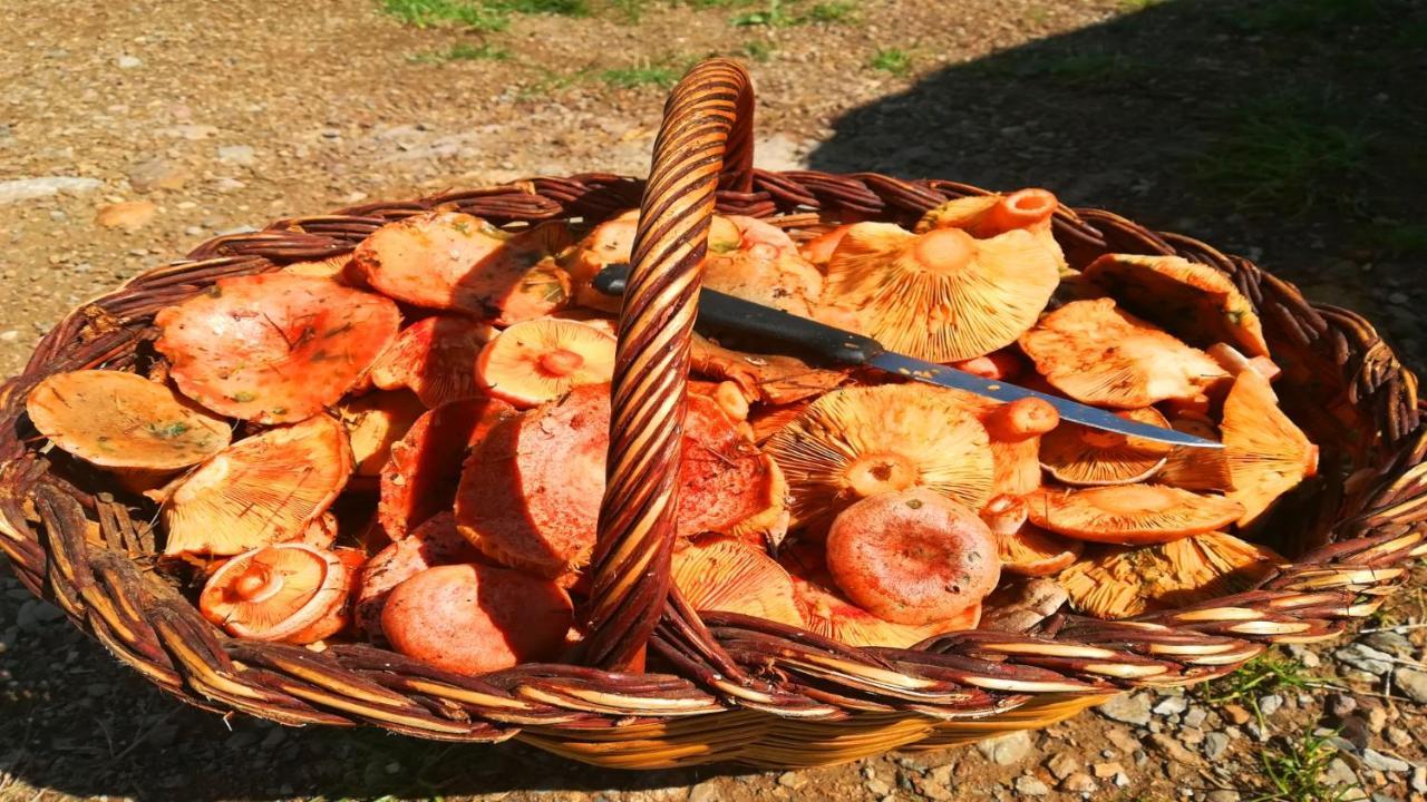 Masias De Rocabruna Esterno foto