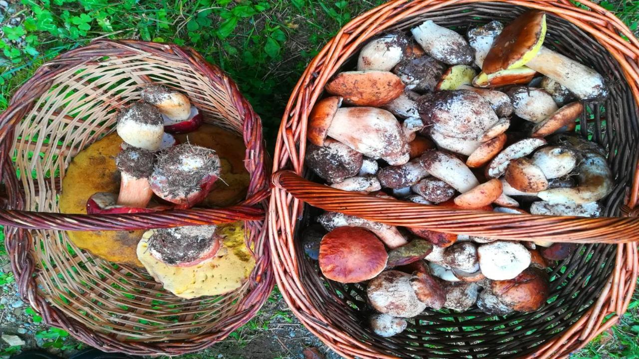 Masias De Rocabruna Esterno foto